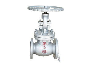 ANSI Globe Valve 